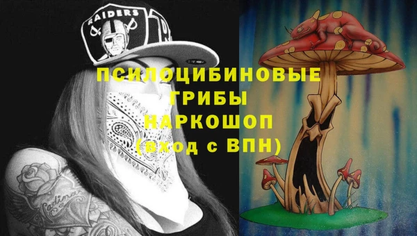 ECSTASY Медвежьегорск