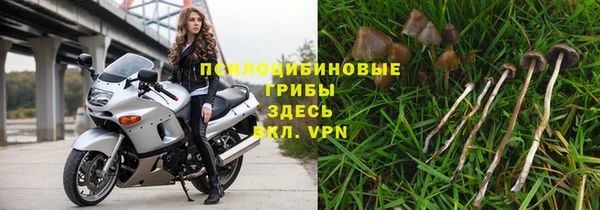 метадон Михайлов
