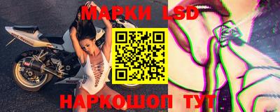 молекула духа Будённовск