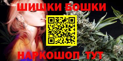 твердый Бийск