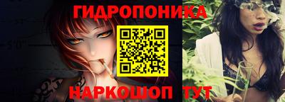 молекула духа Будённовск