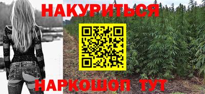 молекула духа Будённовск