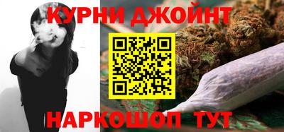 молекула духа Будённовск
