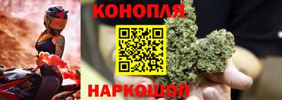 молекула духа Будённовск
