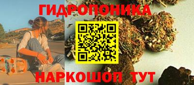 твердый Бийск