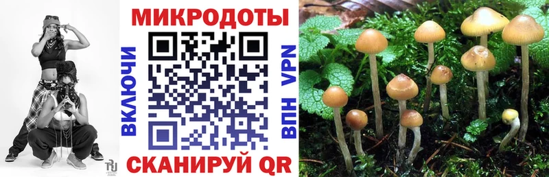 цены   hydra tor  Галлюциногенные грибы Cubensis  Котельники 