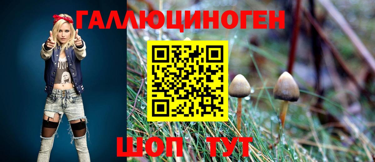 Котельники  Галлюциногенные грибы мицелий  Вход с VPN 