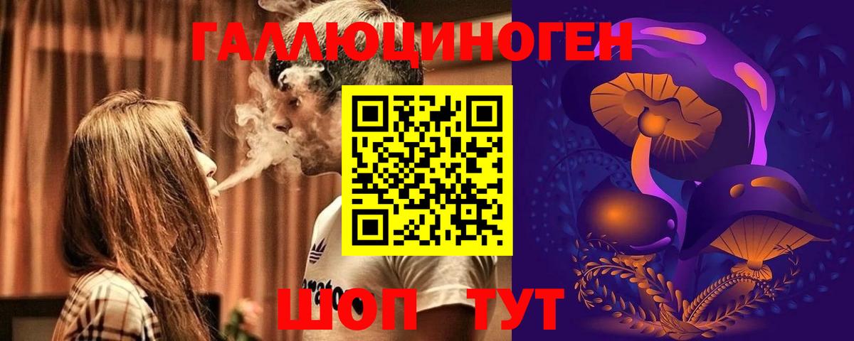 Галлюциногенные грибы Psilocybe Котельники