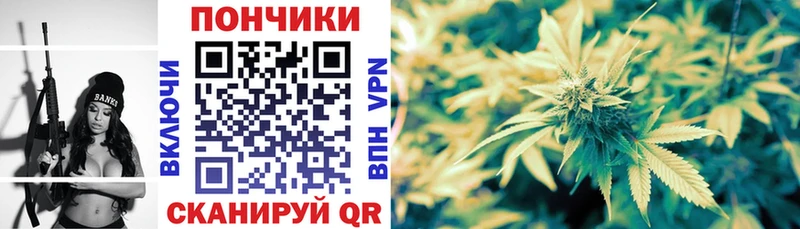 Шишки марихуана конопля  хочу наркоту  мориарти клад  Котельники 